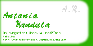 antonia mandula business card